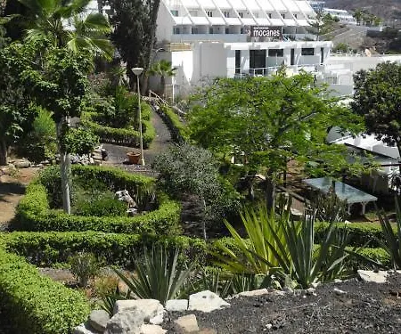 Apartment Mocanes *